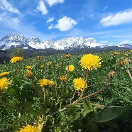 Lara Scheffau am Wilden Kaiser