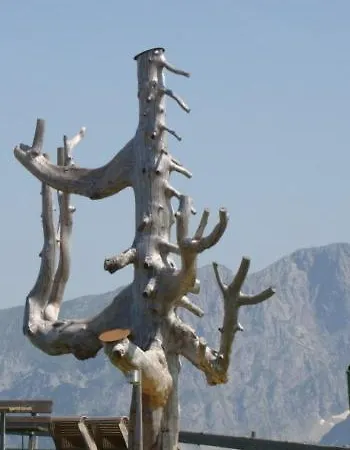 Lara Daire Scheffau am Wilden Kaiser